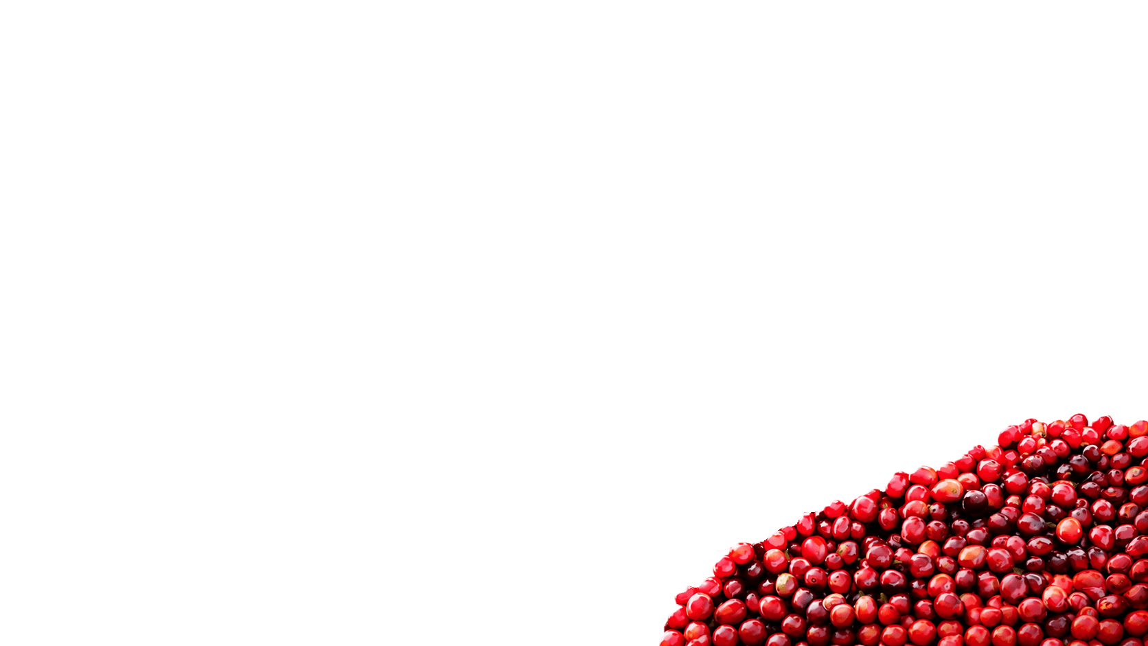 Coffee Beans Left
